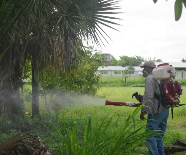 Bajan 80% casos de dengue: Salud Bajan 80% casos de dengue: Salud