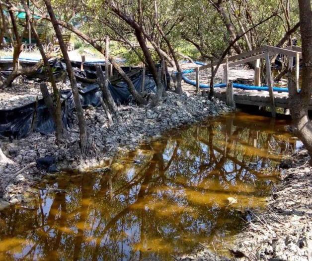 Confirman daños por TransCanadá. Turna Profepa el caso a la ASEA Confirman daños por TransCanadá. Turna Profepa el caso a la ASEA