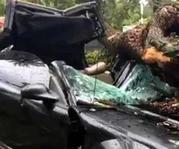 Montemorelos: Derriba tormenta árbol y aplasta a conductor Montemorelos: Derriba tormenta árbol y aplasta a conductor