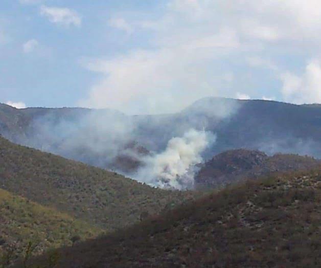 Arrasan incendios con zona boscosa Arrasan incendios con zona boscosa