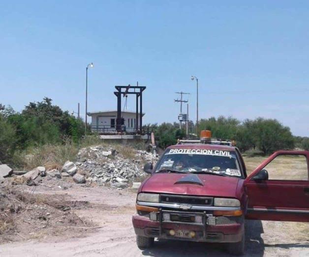 Eliminan enjambre de abejas Eliminan enjambre de abejas