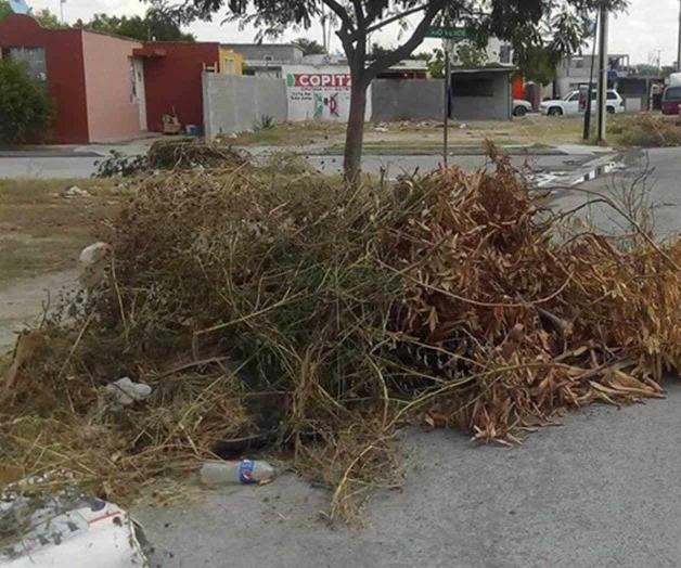 Juntan basura y ramas las ‘olvidan’ Juntan basura y ramas las ‘olvidan’