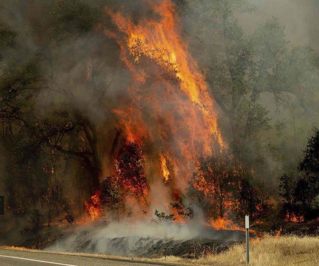 Incendio crea tornado de fuego en California Incendio crea tornado de fuego en California