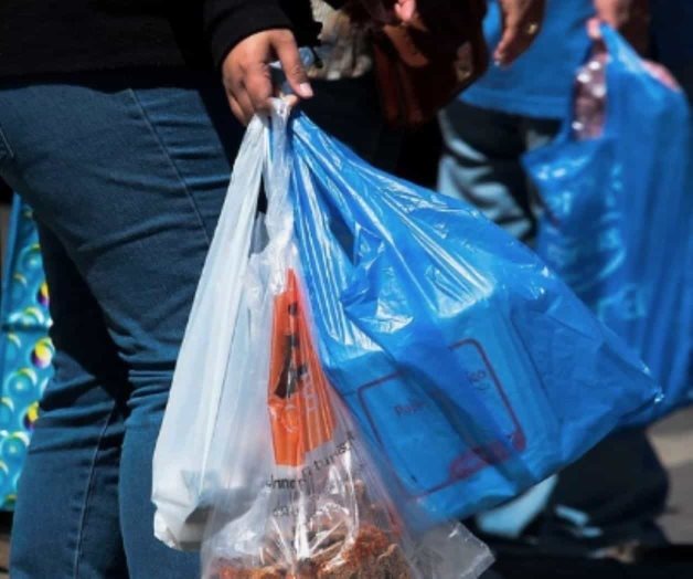 Chile prohíbe el uso de bolsas plásticas Chile prohíbe el uso de bolsas plásticas