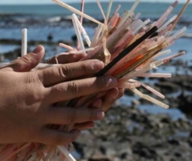 Aceptan restaurantes retiro de popotes Aceptan restaurantes retiro de popotes