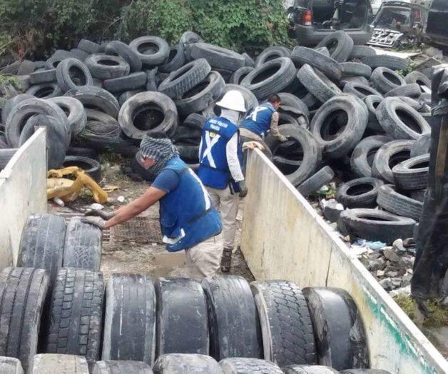 Busca el Ayuntamiento descacharrizar colonias Busca el Ayuntamiento descacharrizar colonias
