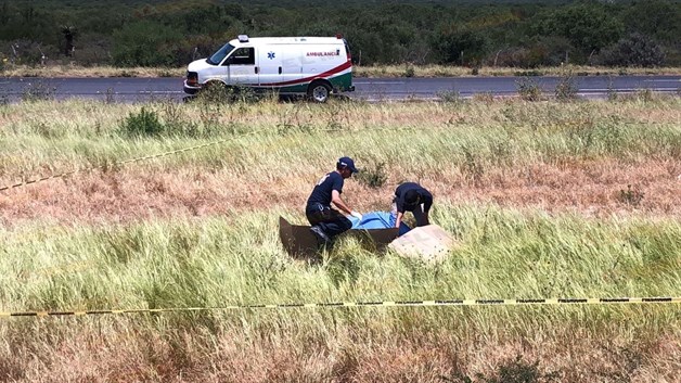 PlaceHolder Imagen PlaceHolder Imagen