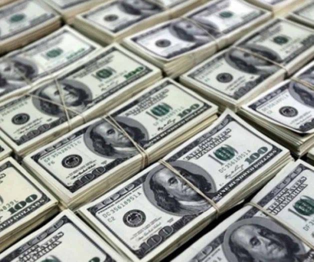 Autoridades decomisan 1.5 millones de dólares en Campeche Autoridades decomisan 1.5 millones de dólares en Campeche