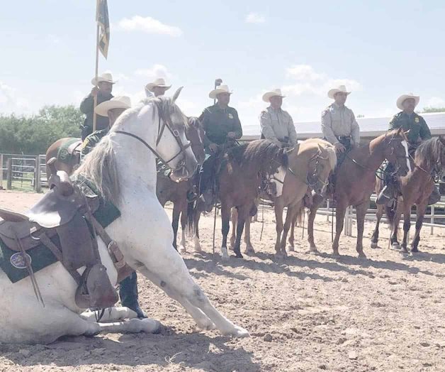 Certifican a 2 agentes a patrulla de caballos Certifican a 2 agentes a patrulla de caballos
