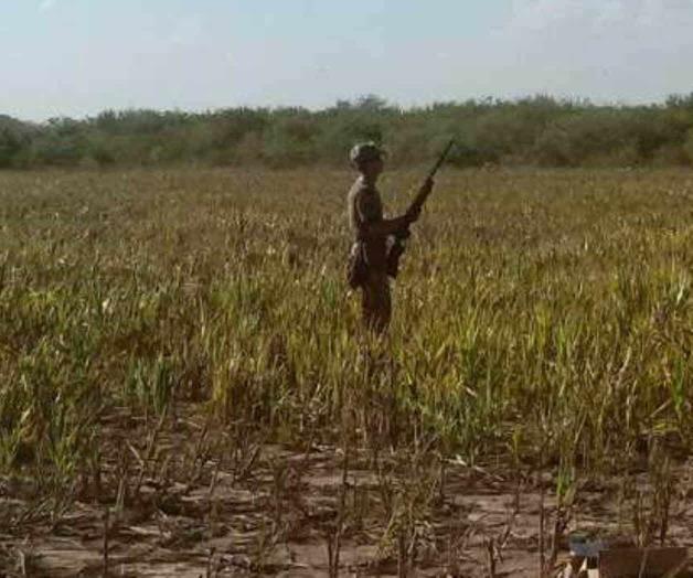 En puerta temporada para cacería de aves En puerta temporada para cacería de aves