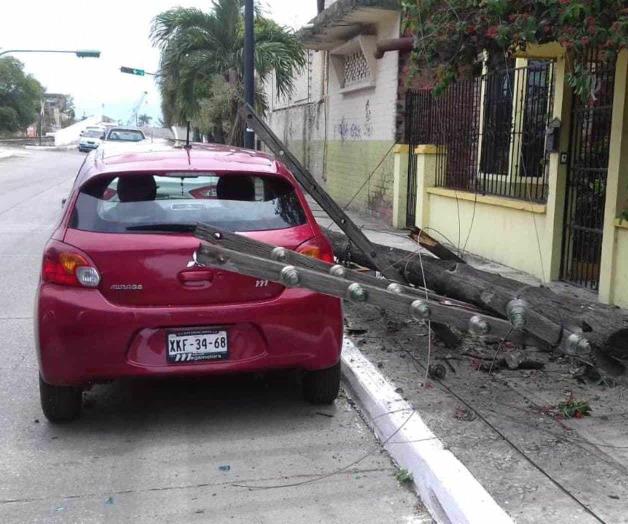 Cae poste de CFE sobre auto compacto Cae poste de CFE sobre auto compacto