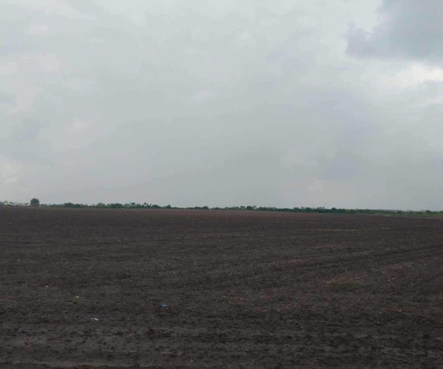 Llega ligera precipitación Llega ligera precipitación