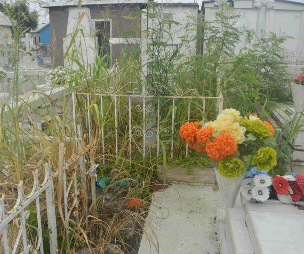 Están en el olvido Están en el olvido