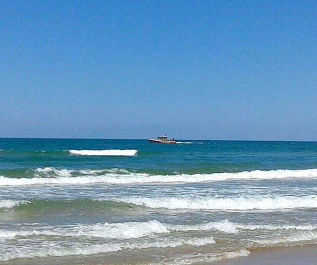 Alertan sobre las bacterias peligrosas en fauna marina Alertan sobre las bacterias peligrosas en fauna marina