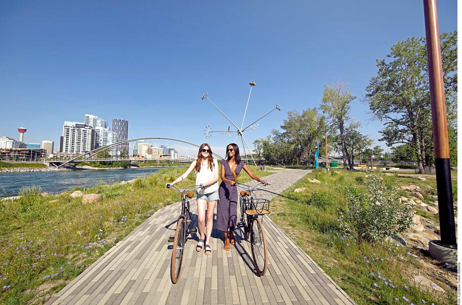 EN BICI. Para conocer la instalación llamada Bloom destaca en St. Patricks Island.