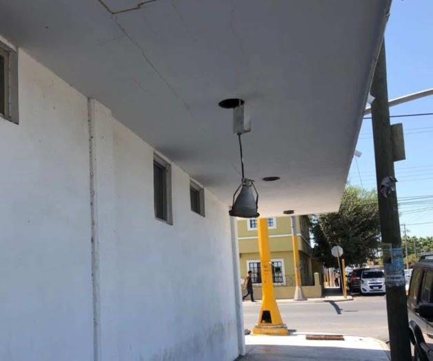 Urge ‘manita de gato’ a oficinas de gobierno Urge ‘manita de gato’ a oficinas de gobierno