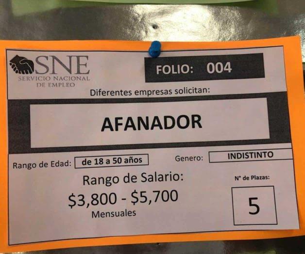 Reclutan con perfil de afanadora para cocinera y ama de llaves Reclutan con perfil de afanadora para cocinera y ama de llaves
