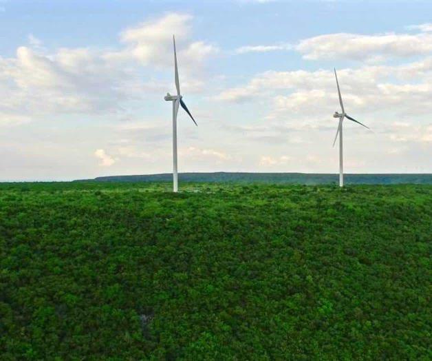 Impulsan a empresas locales en cadenas de proveeduría Impulsan a empresas locales en cadenas de proveeduría