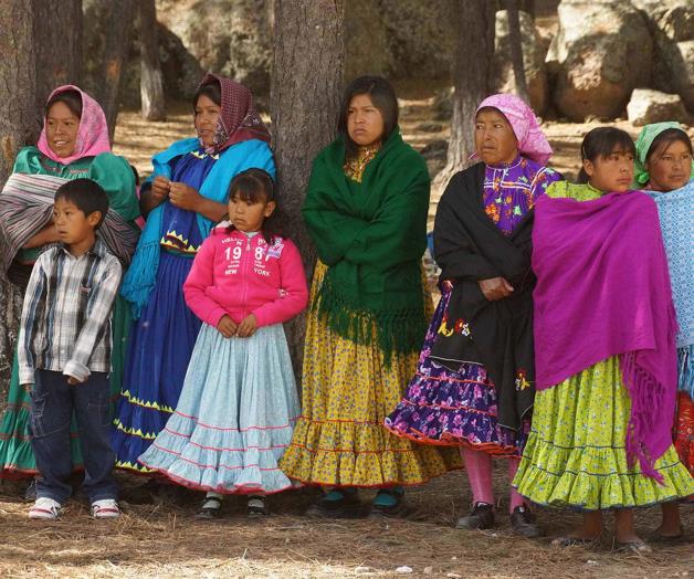 Evitará política multilingüe extinción de lenguas indígenas en México Evitará política multilingüe extinción de lenguas indígenas en México