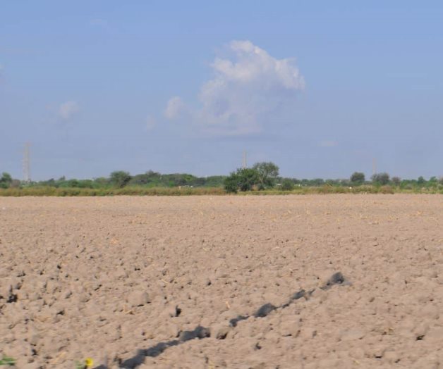 Alistan las tierras para próximo ciclo Alistan las tierras para próximo ciclo