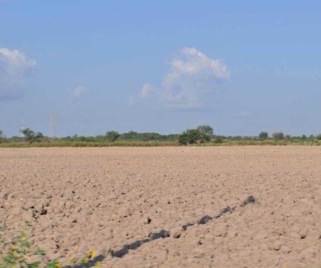 Inician preparativos agrícolas; espera diesel homologado Inician preparativos agrícolas; espera diesel homologado