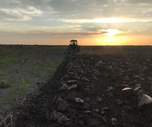 Revelan programas de Sagarpa 2018-19 Revelan programas de Sagarpa 2018-19