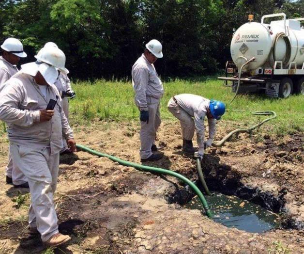 Se dispara ordeña 50% en primer semestre Se dispara ordeña 50% en primer semestre