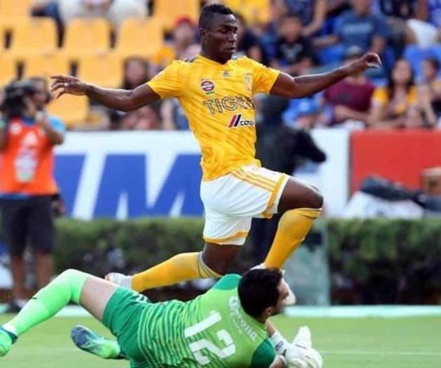 Se les pone en chino la Copa a los Tigres Se les pone en chino la Copa a los Tigres