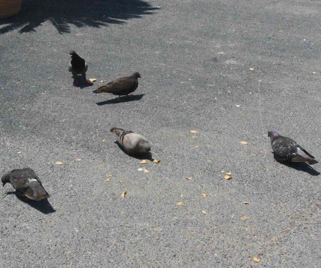 Aprovechan el verano Aprovechan el verano