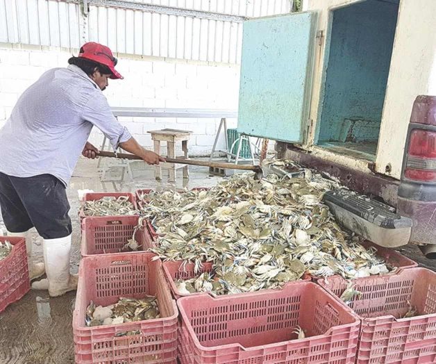 Denuncian un mal servicio en clínica Denuncian un mal servicio en clínica