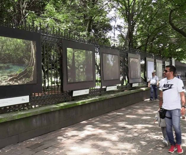 Vistazo al Cielo Vistazo al Cielo