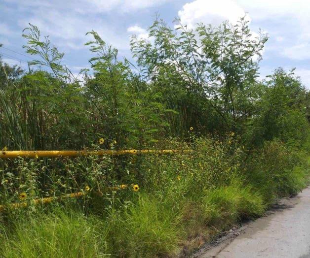 Demandan limpiar predio Demandan limpiar predio