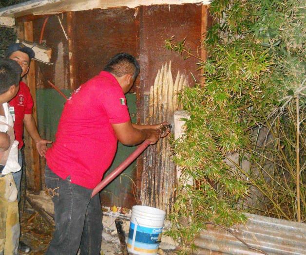 Combaten enjambres por las noches Combaten enjambres por las noches