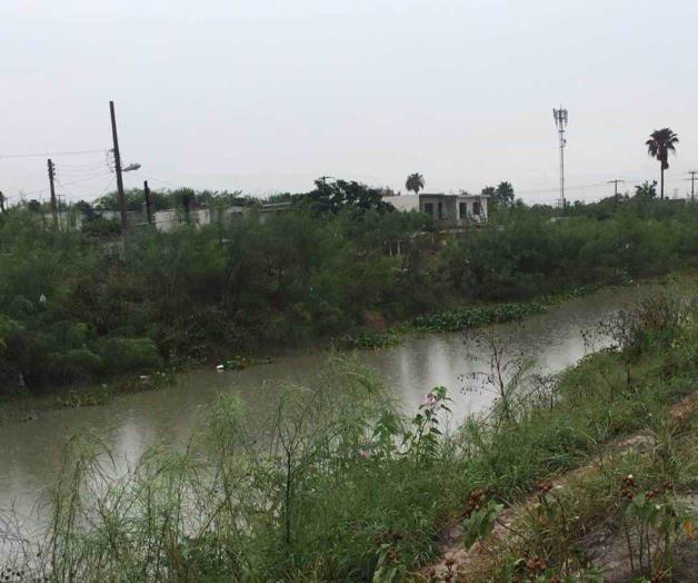 Combaten moscos con agua y almidón. ‘Veneno’, no mata a los zancudos Combaten moscos con agua y almidón. ‘Veneno’, no mata a los zancudos