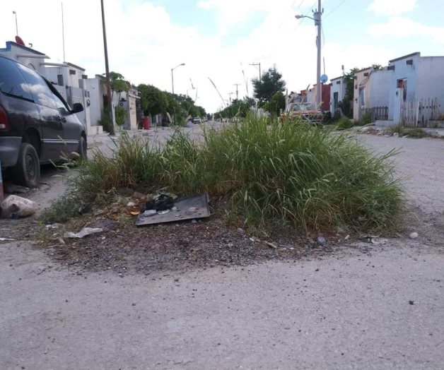 Invade hierba y tierra la única calle de Santa Fe