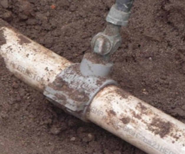 Crecen ‘ordeñas’ 50% en semestre Crecen ‘ordeñas’ 50% en semestre