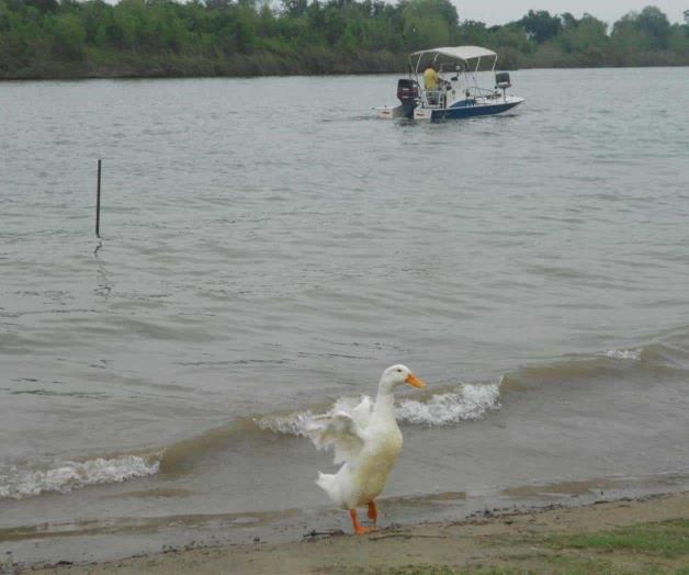 Río Bravo, una opción para los paseantes