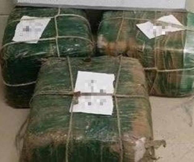 Decomisan 200 libras de mariguana y detienen a tres adolescentes Decomisan 200 libras de mariguana y detienen a tres adolescentes