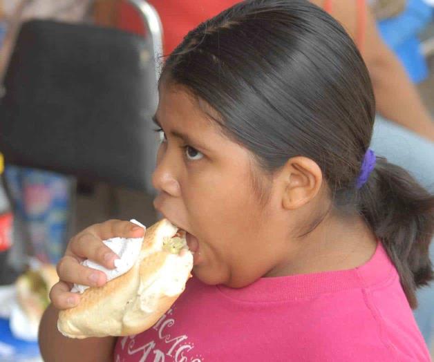Debe eliminarse comida chatarra de dieta diaria Debe eliminarse comida chatarra de dieta diaria
