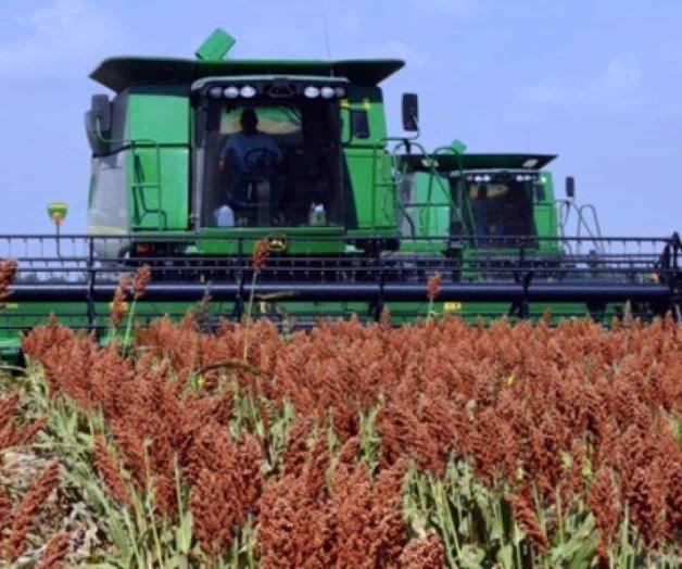 Logran mayor rendimiento Logran mayor rendimiento