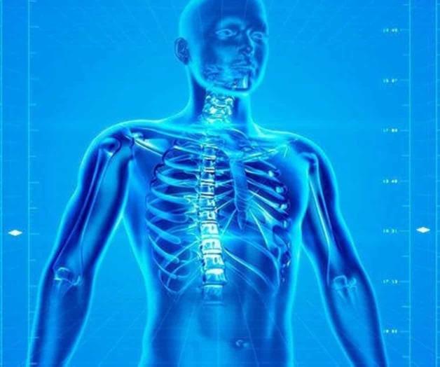 Tamaulipecos ‘mutantes’ Tamaulipecos ‘mutantes’