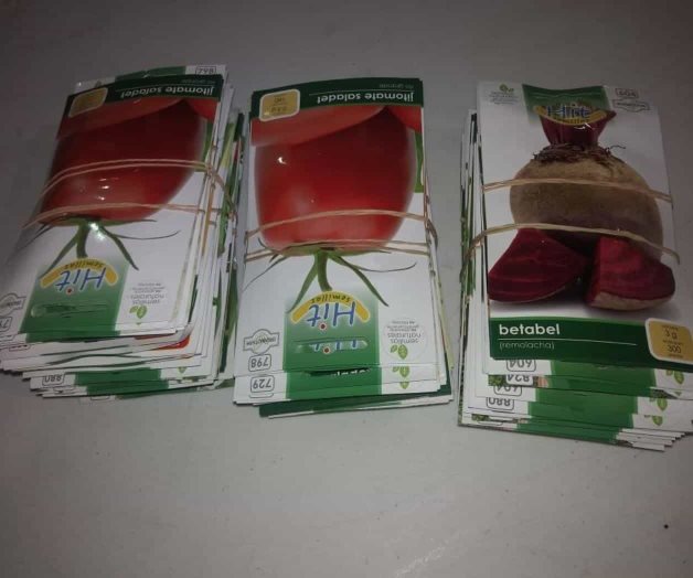 Promueve Sedesol huertos familiares Promueve Sedesol huertos familiares