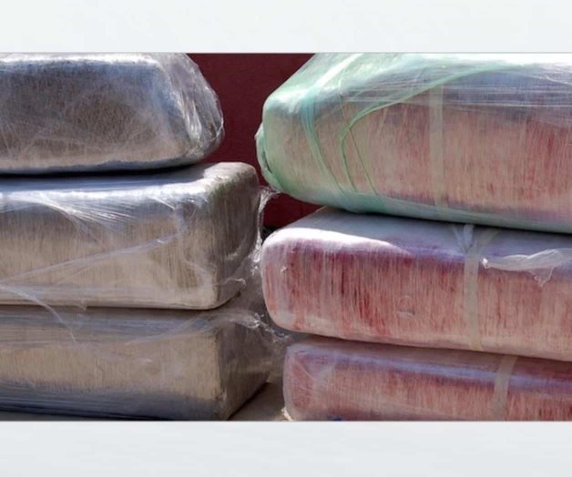 Una vigilancia de rutina permite hallazgo de mariguana Una vigilancia de rutina permite hallazgo de mariguana