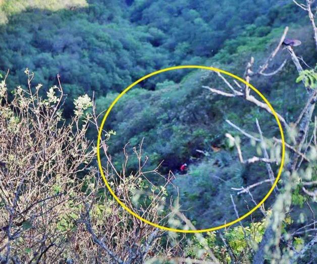 Escapan 40 de morir tras desbarrancar un autobús Escapan 40 de morir tras desbarrancar un autobús