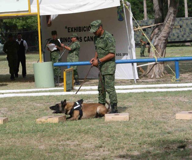 Sirven a la Patria binomios caninos Sirven a la Patria binomios caninos
