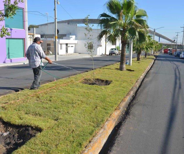 Renuevan camellón Renuevan camellón