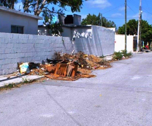 Invaden banquetas con ramas y basura Invaden banquetas con ramas y basura