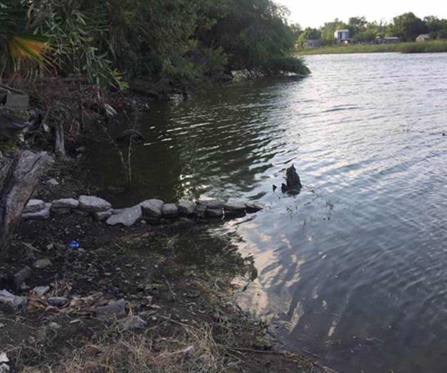 Se adueñan de áreas de laguna Se adueñan de áreas de laguna