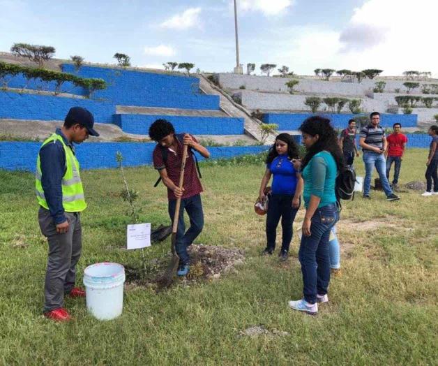 Planta, adopta y cuida un árbol Planta, adopta y cuida un árbol