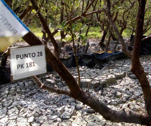 Descartan contamine laguna TransCanada Descartan contamine laguna TransCanada